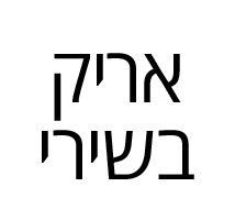 אריק בשירי לוגו